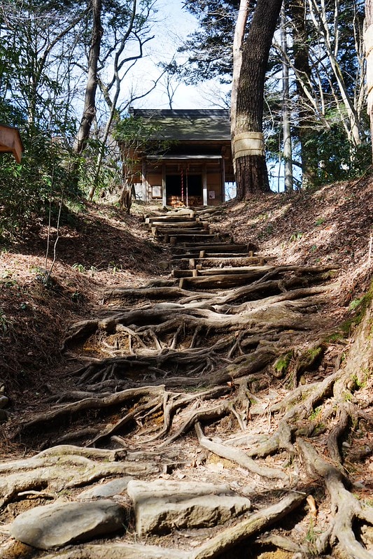 20251102-gnbfn 20251102-gnbfn