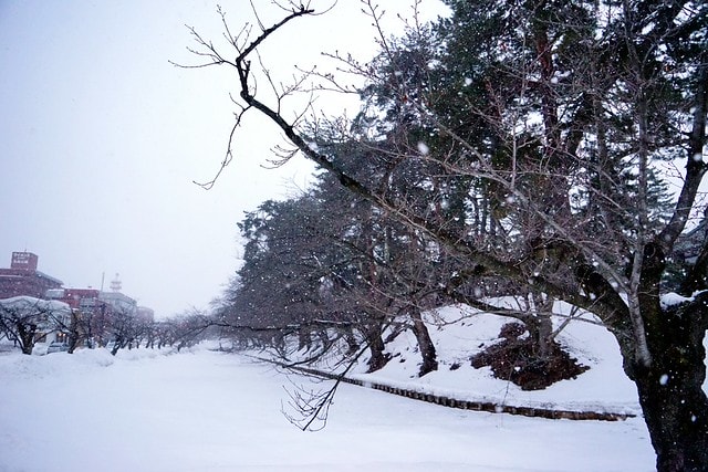 20251102-ivv37 20251102-ivv37