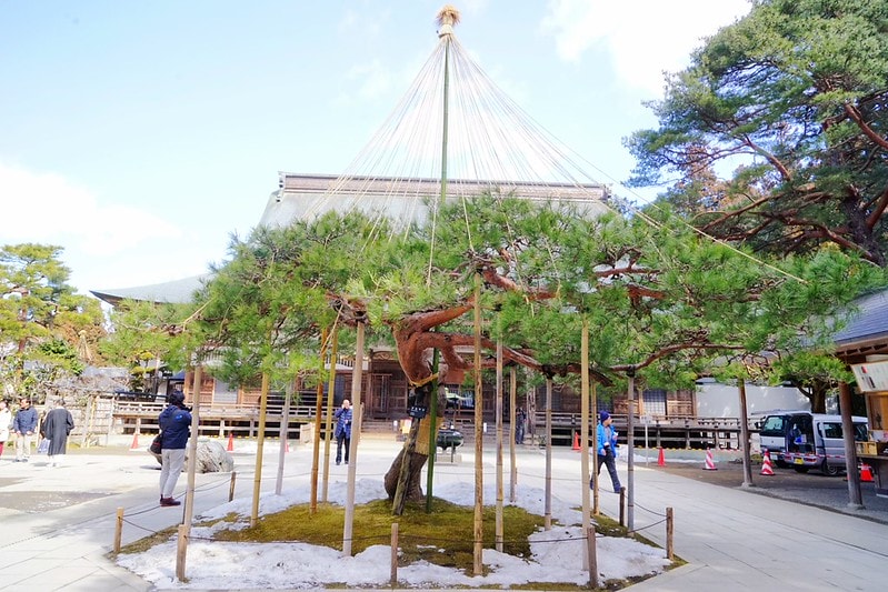 20251102-lnk9v 20251102-lnk9v