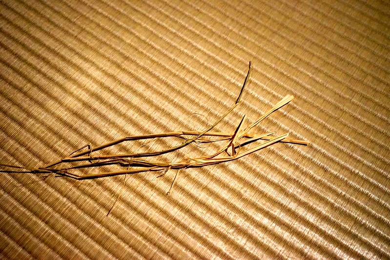 20251102-mu13c 20251102-mu13c