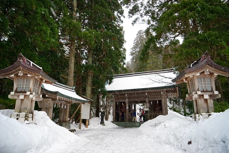 20251102-q8c2v 20251102-q8c2v