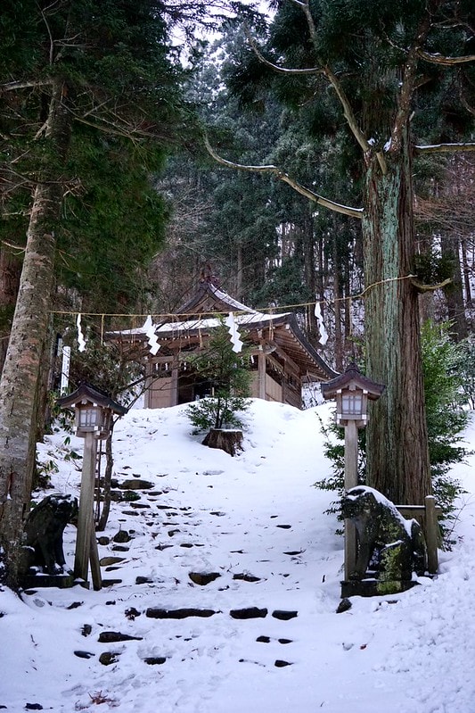 20251102-u8288 20251102-u8288