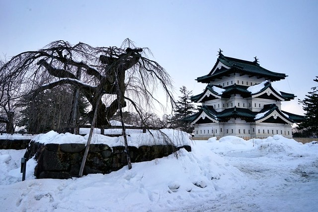 20251102-vef2k 20251102-vef2k