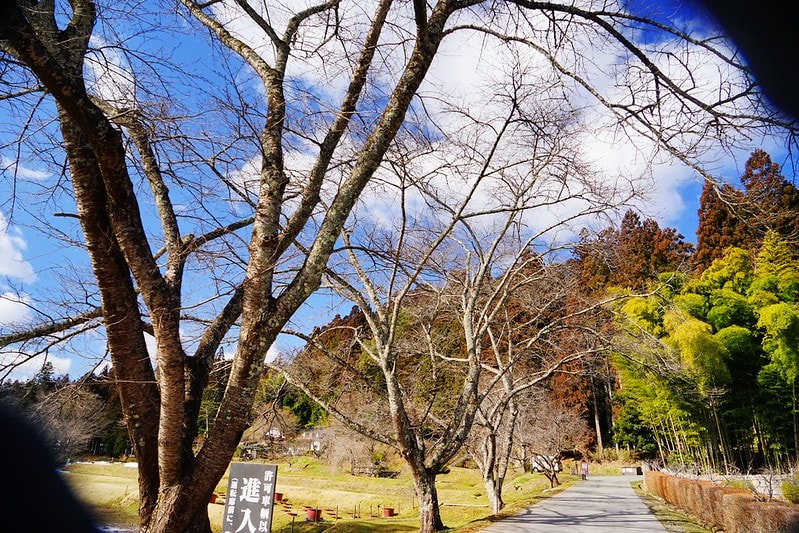 20251102-xweer 20251102-xweer