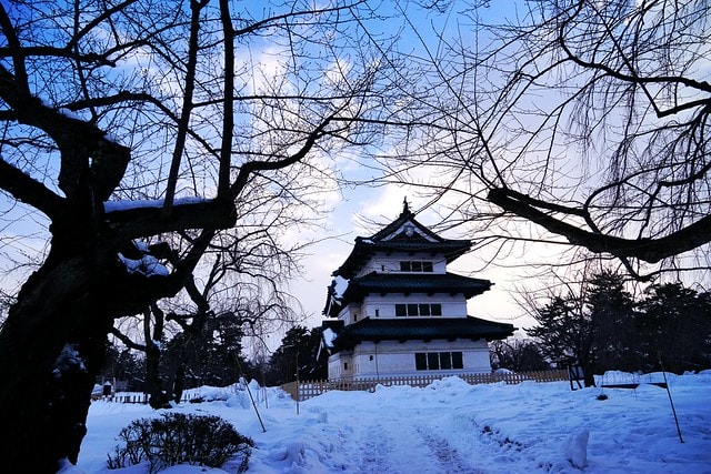 20251102-z8akv 20251102-z8akv