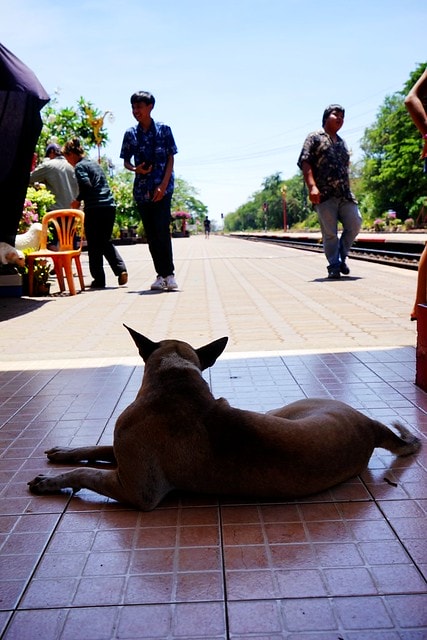 20251102-c09vl 20251102-c09vl