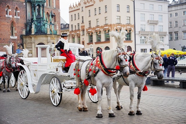 20251102-tuvlr 20251102-tuvlr