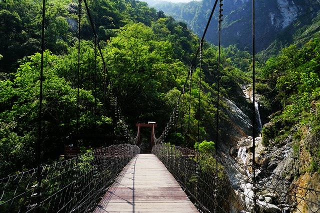 20251102-046ay 20251102-046ay