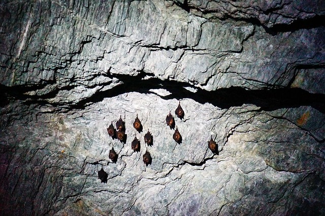 20251102-2fnth 20251102-2fnth