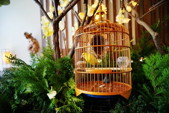 20251102-4d35q 20251102-4d35q