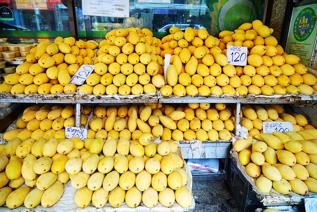 20251102-8dsoo 20251102-8dsoo