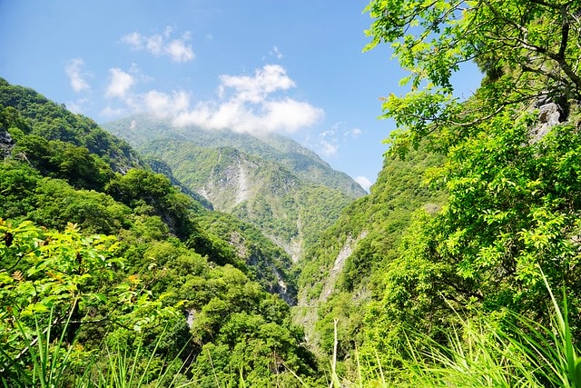 20251102-9o3qz 20251102-9o3qz