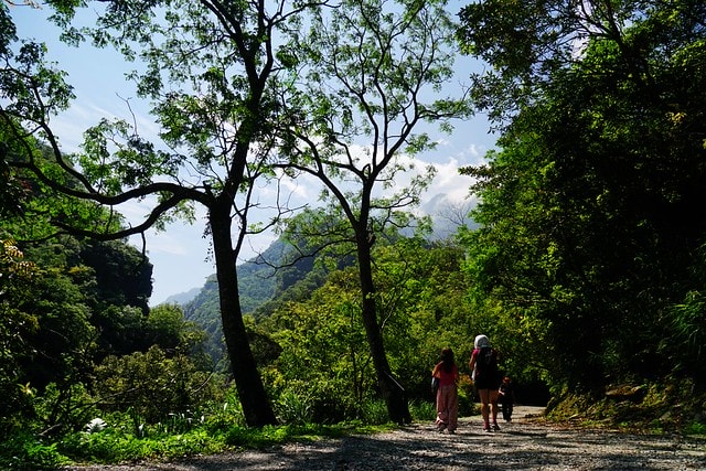 20251102-bnlby 20251102-bnlby