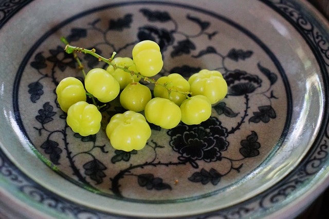 20251102-jdgfe 20251102-jdgfe