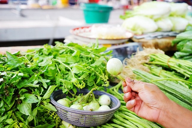 20251102-khyaj 20251102-khyaj