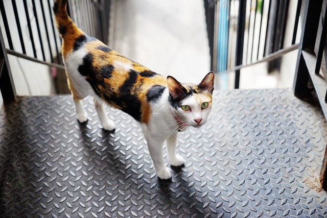 20251102-o7xxo 20251102-o7xxo