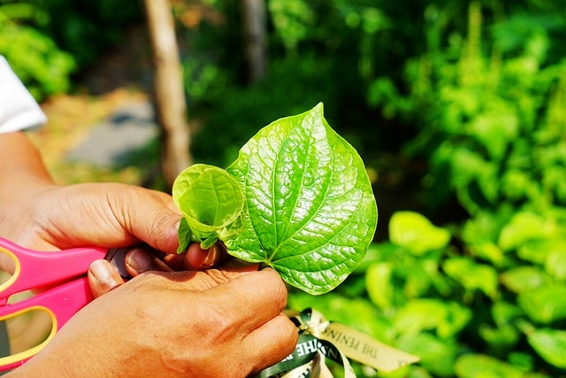 20251102-tn2k6 20251102-tn2k6