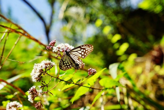 20251102-trsm4 20251102-trsm4