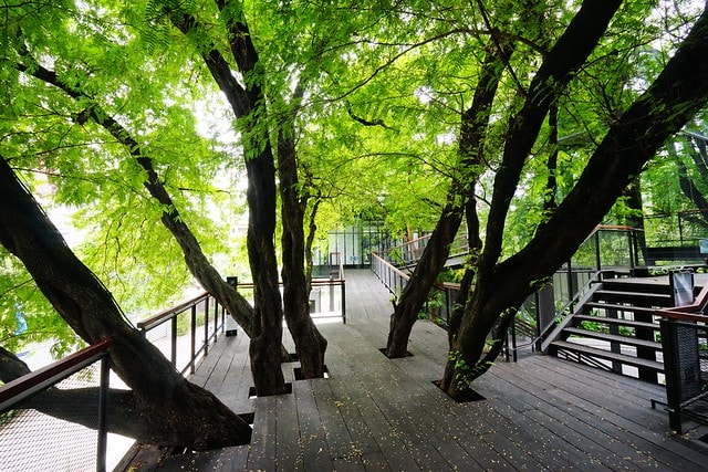 20251102-561no 20251102-561no