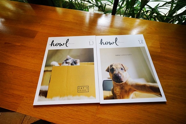 20251102-c1zo0 20251102-c1zo0