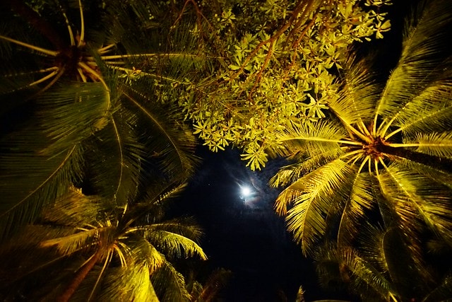 20251102-k7uef 20251102-k7uef