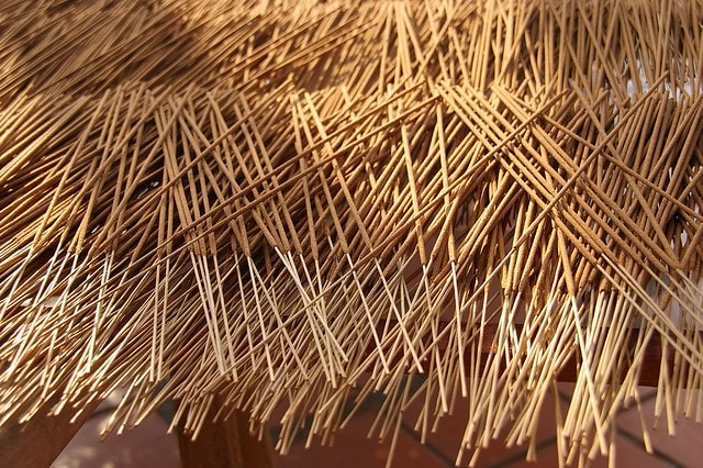 20251102-zve2o 20251102-zve2o