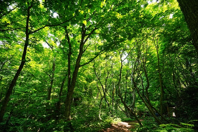 20251102-100cl 20251102-100cl