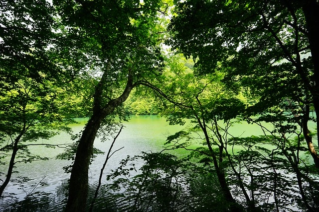 20251102-29ua2 20251102-29ua2