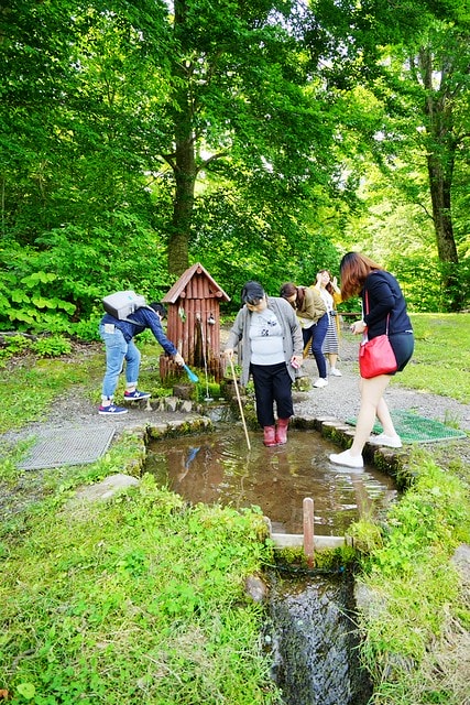 20251102-2i8bu 20251102-2i8bu