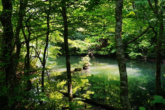 20251102-2lahz 20251102-2lahz