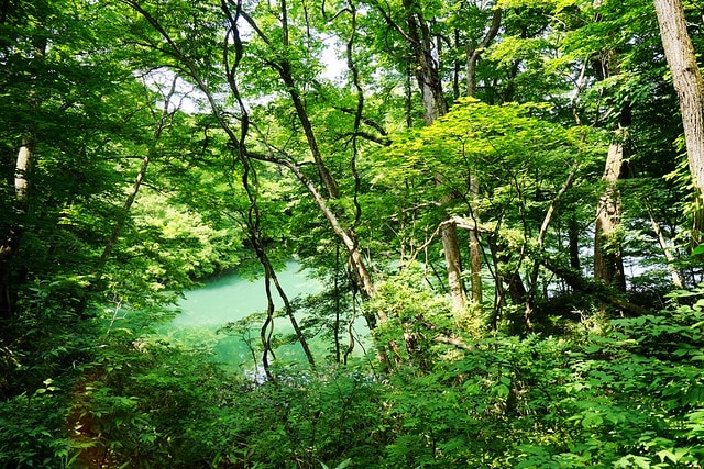 20251102-2olul 20251102-2olul