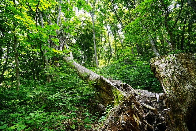 20251102-4crr3 20251102-4crr3