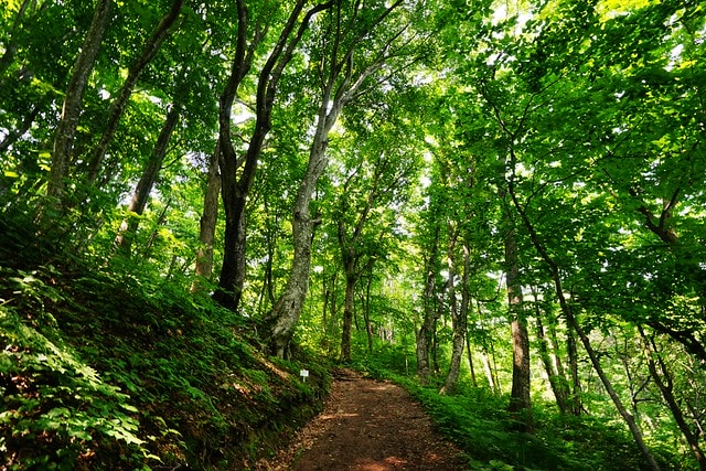 20251102-4cvkd 20251102-4cvkd