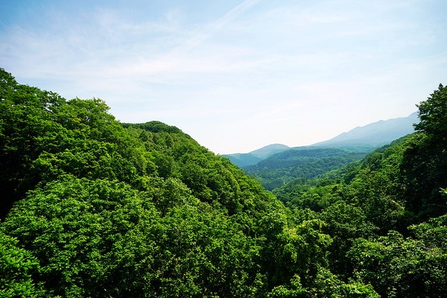 20251102-4qxhg 20251102-4qxhg