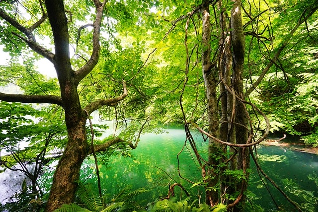 20251102-56ul4 20251102-56ul4