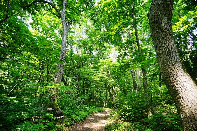 20251102-5ku2m 20251102-5ku2m