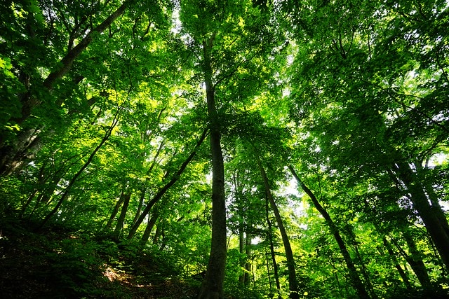 20251102-5p9h4 20251102-5p9h4