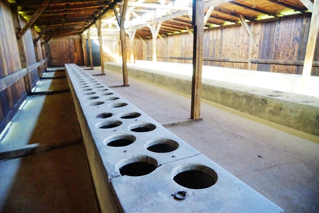 20251102-5skcv 20251102-5skcv