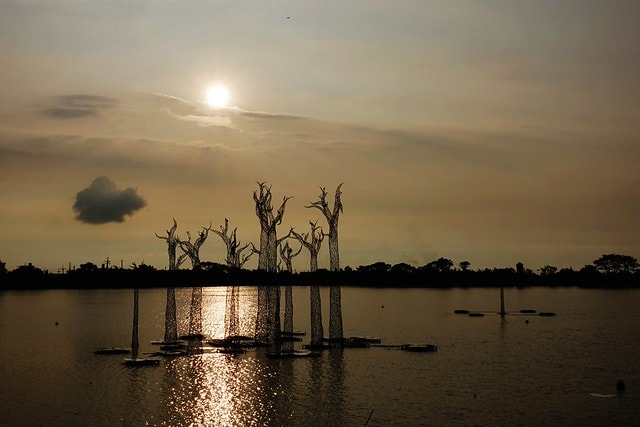 20251102-688d0 20251102-688d0