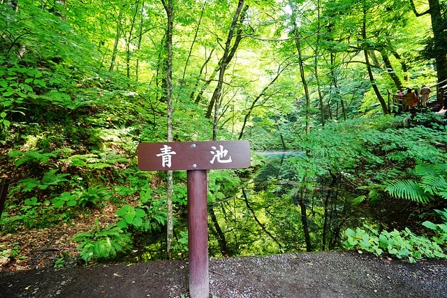 20251102-6o9ru 20251102-6o9ru