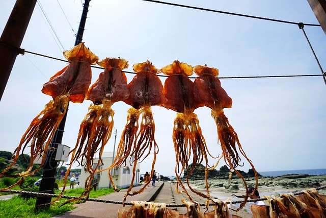 20251102-6oiaz 20251102-6oiaz