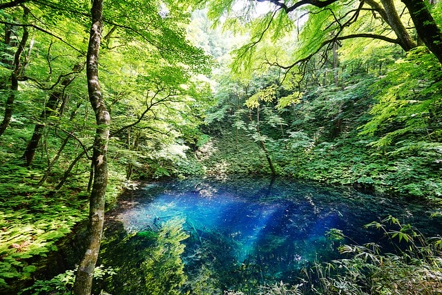 20251102-6ra8v 20251102-6ra8v