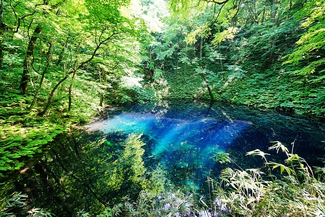 20251102-9bkzu 20251102-9bkzu