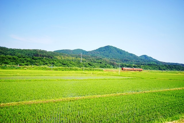 20251102-9dt11 20251102-9dt11