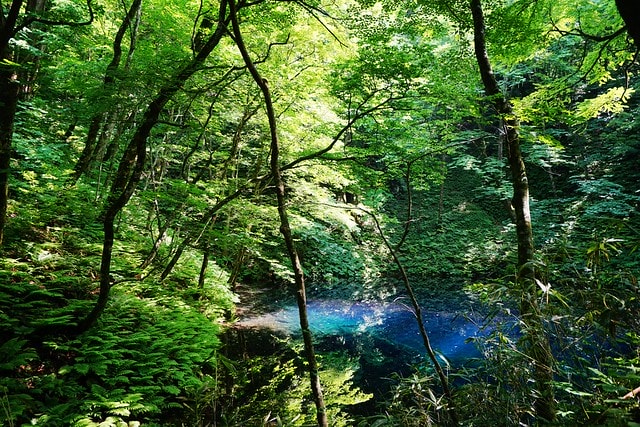 20251102-9oy61 20251102-9oy61