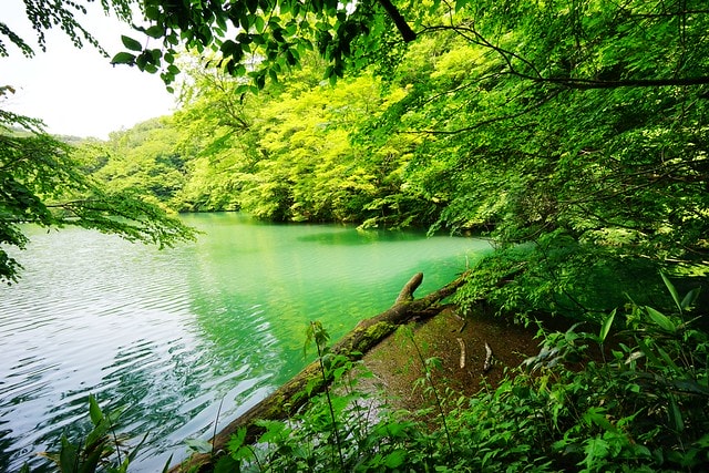 20251102-9umnd 20251102-9umnd