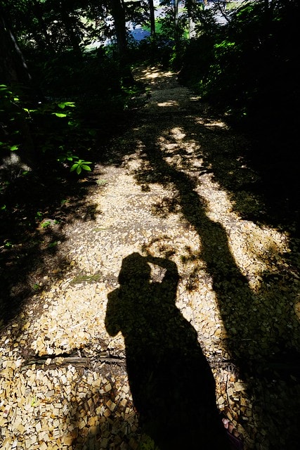 20251102-bxs8p 20251102-bxs8p