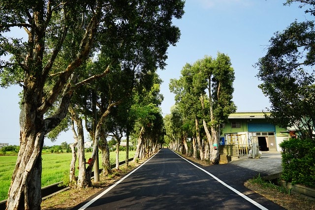 20251102-c8v4m 20251102-c8v4m