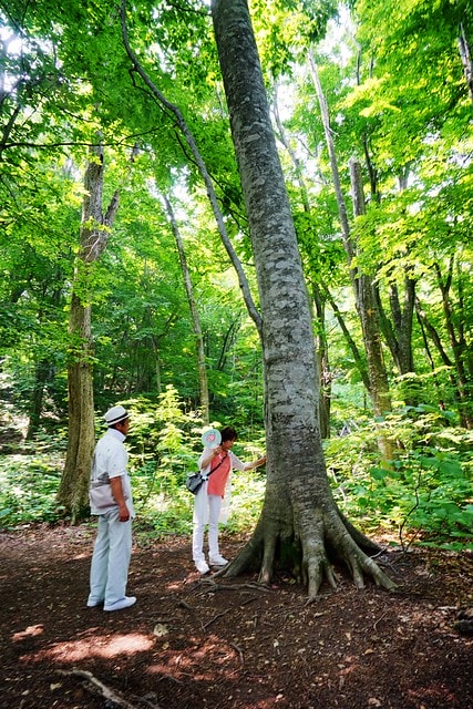 20251102-cysqj 20251102-cysqj