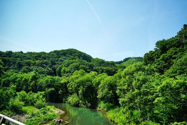 20251102-d9bpe 20251102-d9bpe